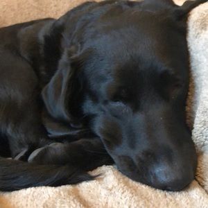 Meet your Posher, Sue